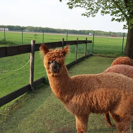 Galerie 65 Апартаменты Неттеталь