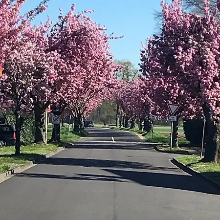 Galerie 65 Неттеталь