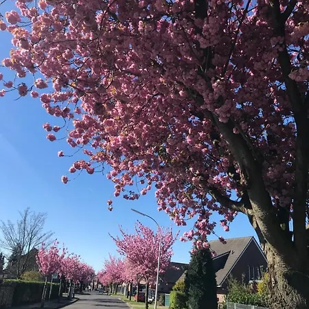 Galerie 65 Apartamento