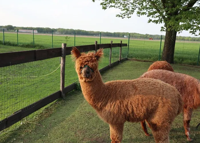 Galerie 65 Apartman Nettetal