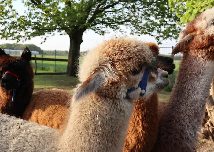 Galerie 65 * Nettetal